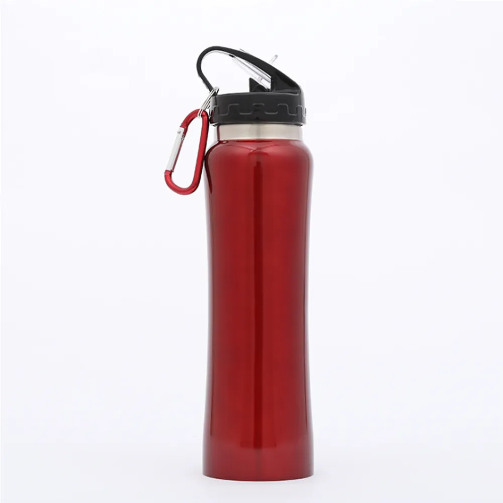 500ml Stainless Steel Bottle with Carabiner