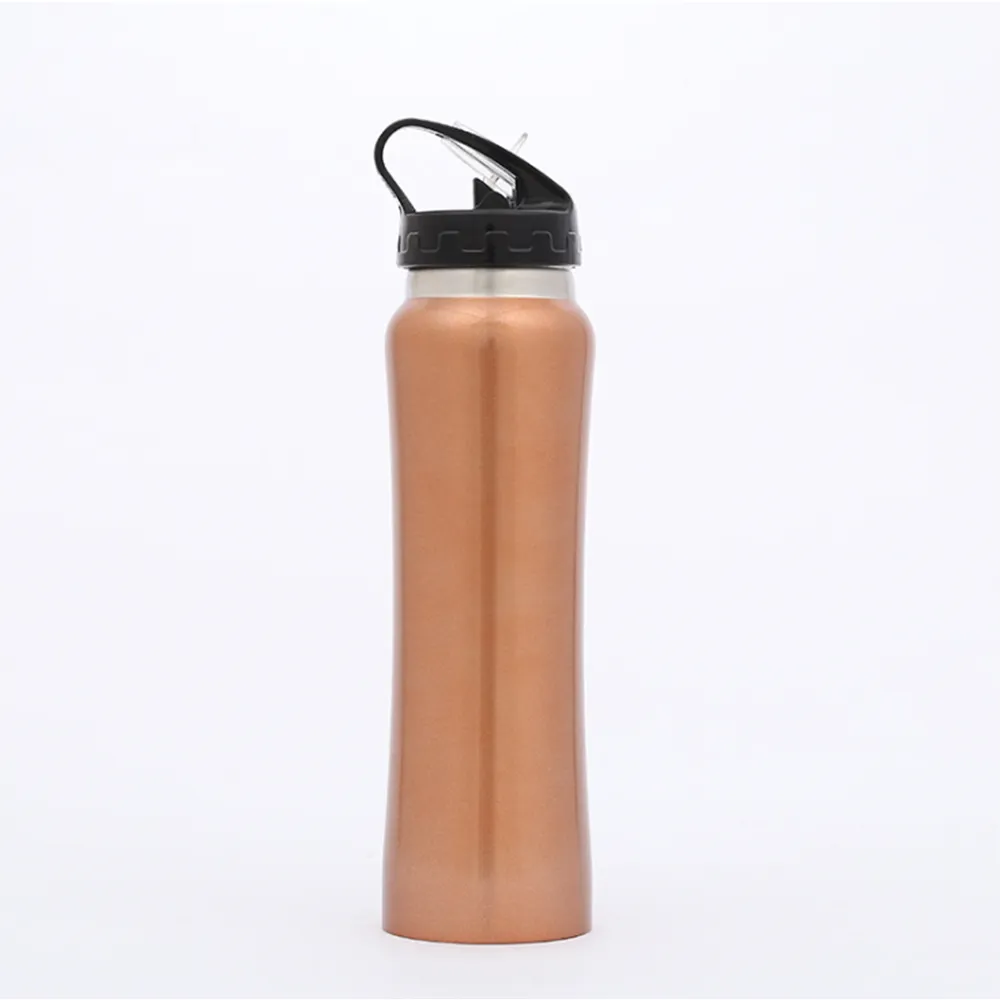 500ml Stainless Steel Bottle with Carabiner