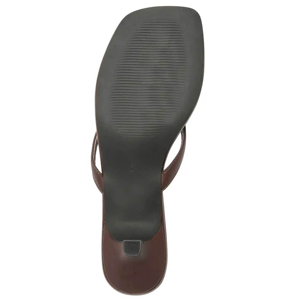 Malta Thongs in Chocolate Smooth Smooth